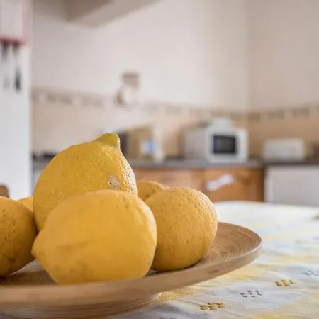 Monte Do Tanoeiro - Casa Pipa بيت للعطل